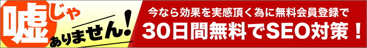 30日間無料でSEO対策キャンペーンやってます!