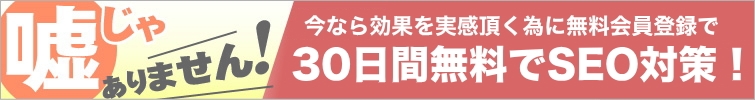 30日間無料でSEO対策キャンペーンやってます!
